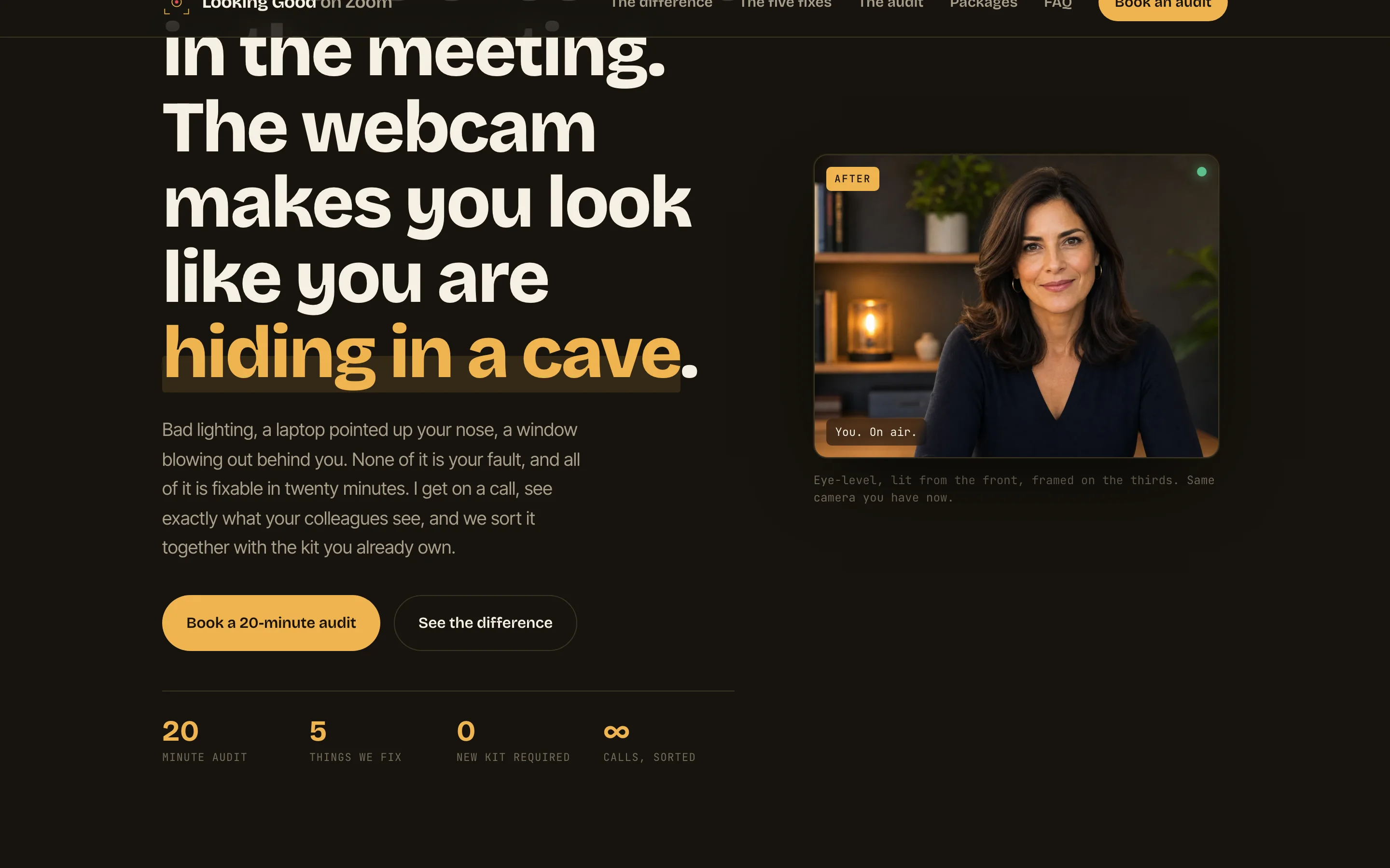 Looking Good on Zoom homepage screenshot